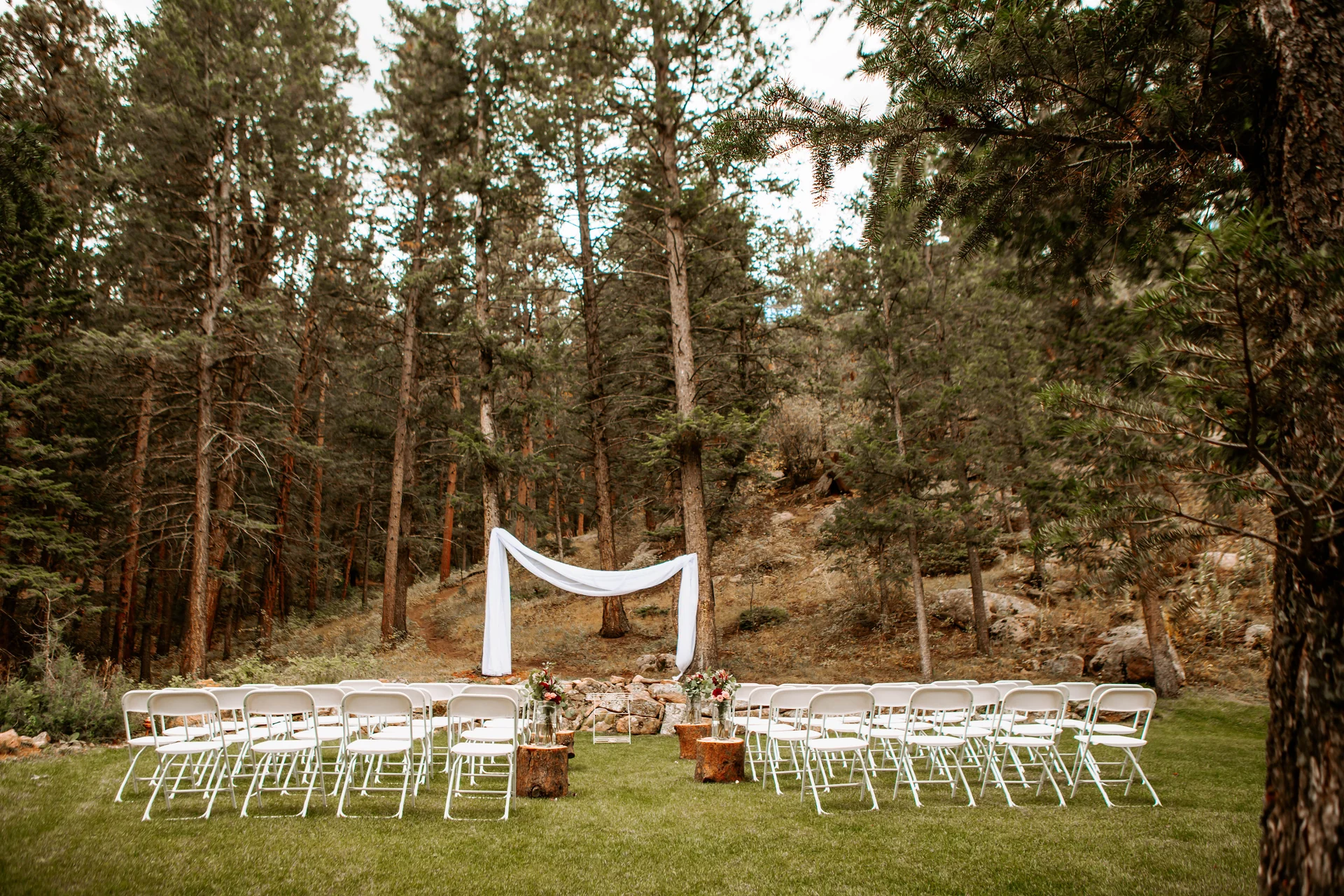 White wedding chairs and a draped ceremony arch on a lawn surrounded by pine trees